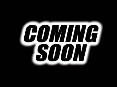 TESLA MODEL Y 2023 7SAYGDEE4PF849198 image TESLA MODEL Y 2023 7SAYGDEE4PF849198 image